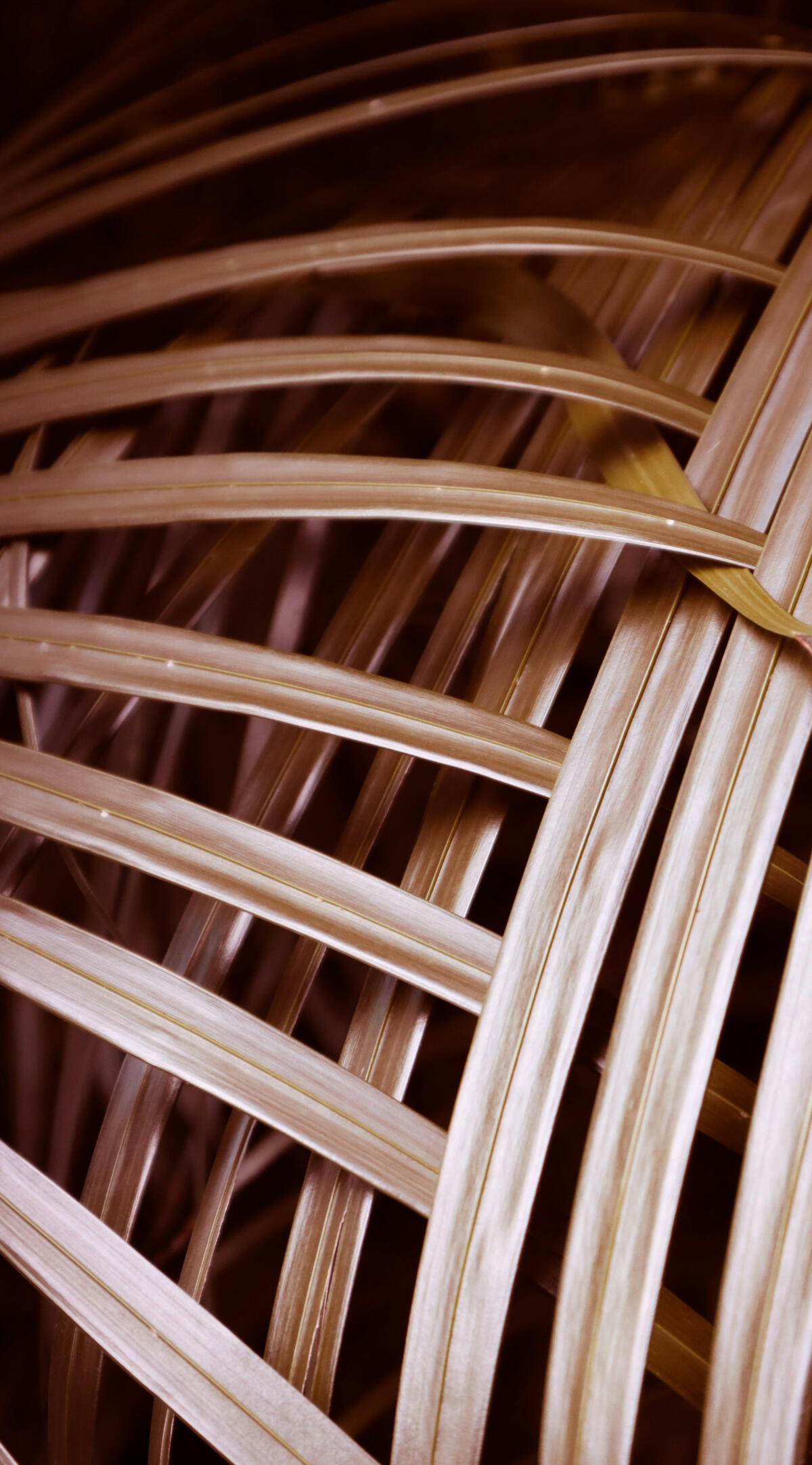 Cambaya Beach Resort. Self Sustaining