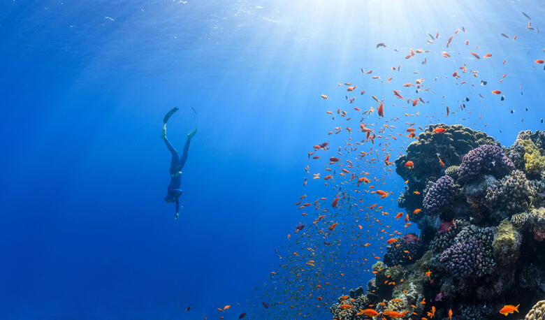 Cambaya Beach Resort Optional Experiences